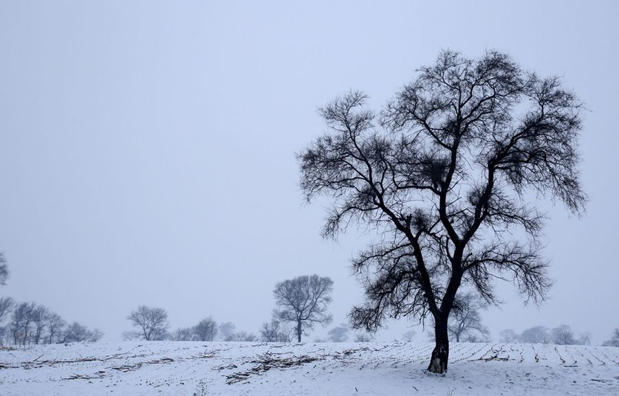 1487673129314058.jpg 5ab5c9ea15ce36d3f27e861c38f33a87e950b1a7.jpg